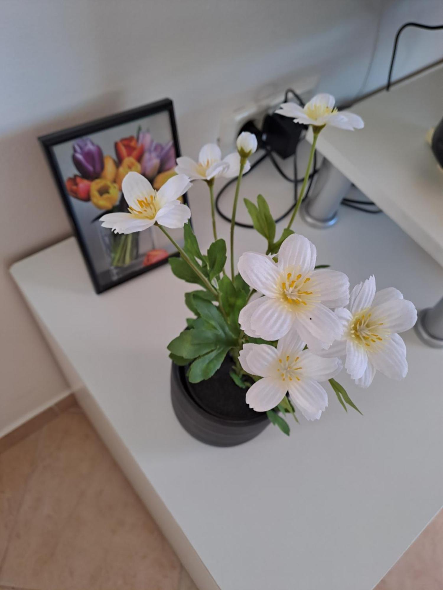Apartman Valbandon Фажана Екстер'єр фото